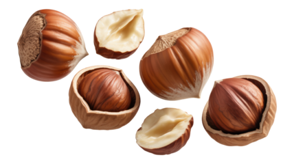  A close up of a nut with the shell removed