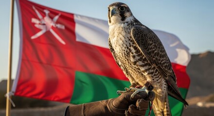 A majestic falcon perched on a falconer's gloved hand, with the vibrant flag of Oman waving proudly in the background under a clear sky.