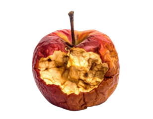 A shriveled, partially eaten apple showcasing a rich red color with visible dried texture and an exposed interior.