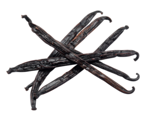 Dried vanilla pods arranged in an intersecting pattern, showcasing their dark, wrinkled texture and curved tips.