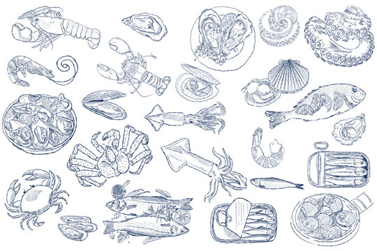 Hand drawn seafood set with fish and shellfish in vintage blue line art
