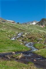 Fototapeta premium Magnificent views from Gölyayla in Rize during the spring months. Streams in the mountainous regions. Streams formed by the melting glaciers in the highlands. Livestock farming in the highlands. Color