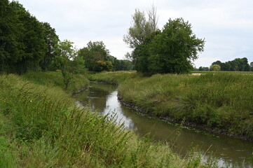 Nidda bei Ilbenstadt