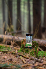 Smartfon fotografujący las na pniu drzewa
