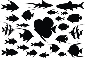Fototapeta premium Collection of various fish silhouettes on white background for design and decoration