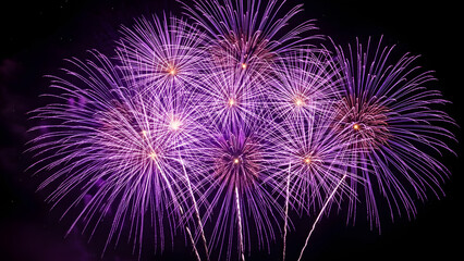 A vibrant display of purple fireworks exploding in the night sky with bright streaks of light radiating outward