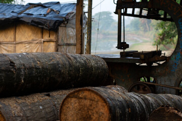 Stacked timber logs with sawmill wood cutting machine in rural woodworking industry