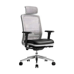 Ergonomic office chair with mesh back isolated on transparent background
