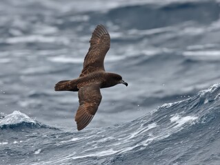 Seabird in flight over turbulent ocean waves capturing nature's chaos.