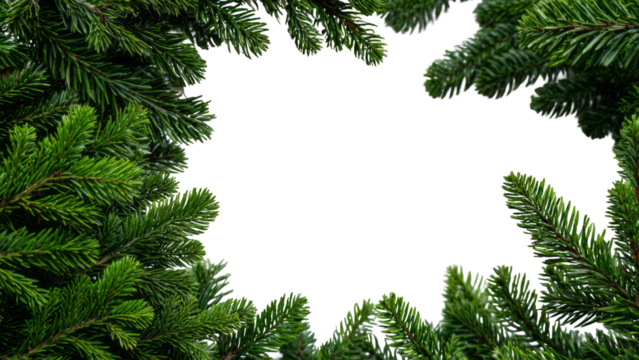 Lush green pine tree branches forming a natural border around a clear white background, perfect for festive designs or winter themes. - Powered by Adobe
