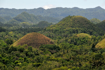 H&uuml;gel "Chocolate Hills" auf Bohol -Philippinen