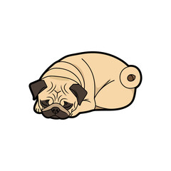Cartoon Pug Dog Resting Lying Down Illustration.