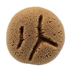 Close up of porous brown sea sponge texture image