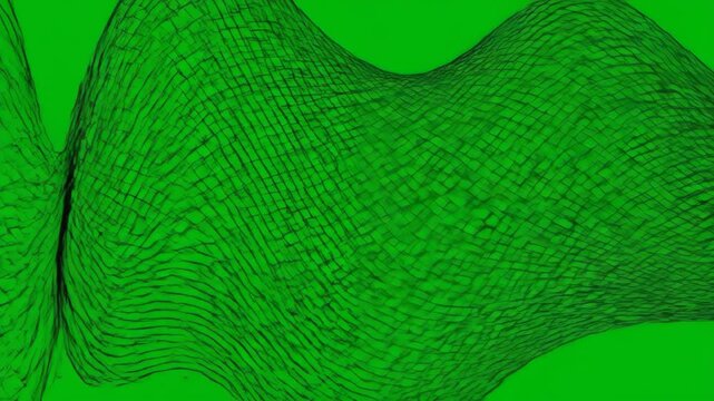 Green screen moire interference lattice bending into abstract wave patterns