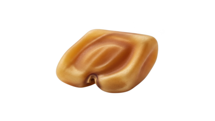 Single kernel of popcorn on black background popcorn kernel