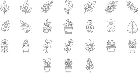 Collection of various botanical and architectural line drawings