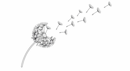 Dandelion seeds blowing in the wind © Design Board