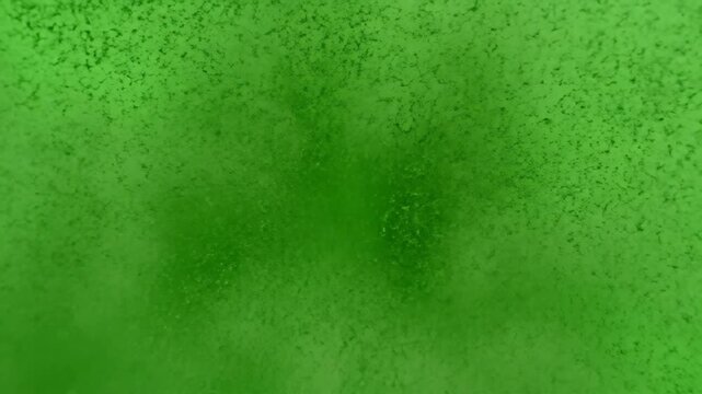 Green Screen Velvety Flock Fibers Dispersing by Wind Chroma Key