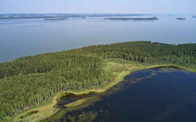 Aerial photo of forest boggy lake in the Karakansky pine forest near the shore of the Ob reservoir.