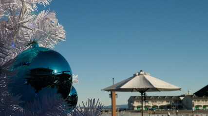 Christmas tree on the pier