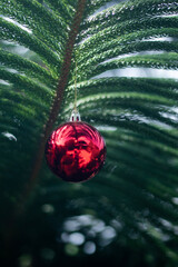 Christmas tree for decorating during the New Year festival