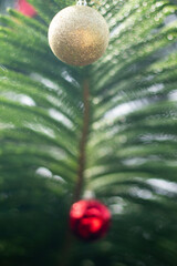 Christmas tree for decorating during the New Year festival