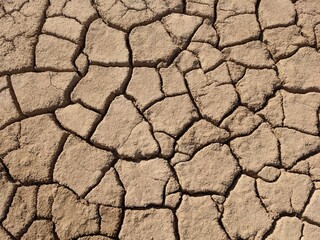 Close-up of dry cracked earth surface