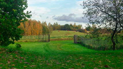 A yard with green trimmed grass and blue sky. A road with green grass leading to the yard