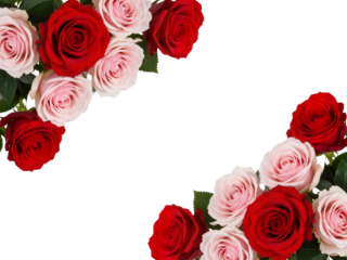 Diagonal Bloom: A Romantic Border of Crimson and Blush Roses Framing Elegance and Space