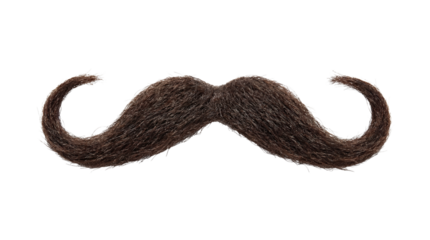 Isolated Brown Curly Mustache Facial Hair Accessory