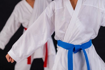 Karate students in training, practicing traditional karate katas in dark setting with black background. Captures focus, technique, and disciplined movement.