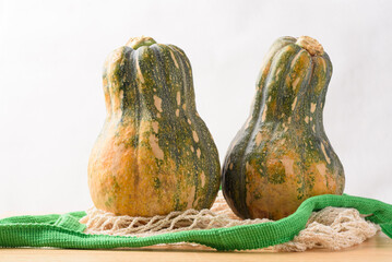 Ripe, yellow-green butternut squash after autumn harvest from an organic farm, on a white background. A healthy cooking ingredient