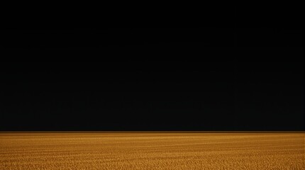 Golden Field Under a Vast Black Sky