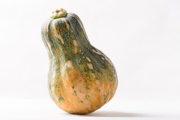 Ripe, yellow-green butternut squash after autumn harvest from an organic farm, on a white background. A healthy cooking ingredient