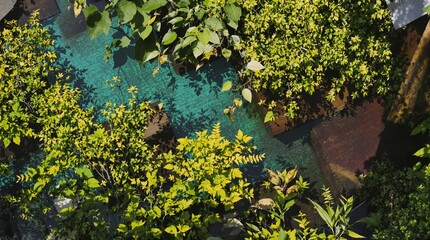Vibrant Green Foliage Overlooking a Turquoise and Brown Abstract Garden Path