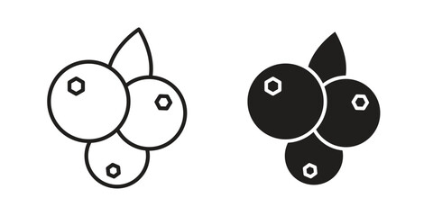 Blueberry icons or logo design isolated sign symbol vector illustration - high quality line style vector