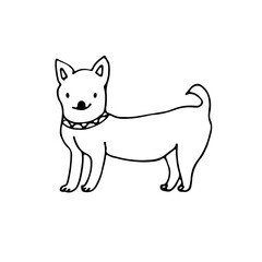 Chihuahua, a small dog breed with large ears and expressive eyes. Doodle. Vector illustration. Hand drawn. Outline.