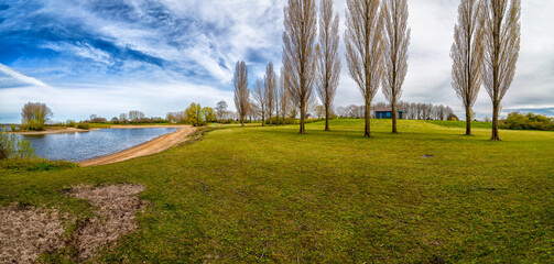 Poplar trees standing by a lake with green grass under a blue sky