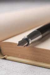 metallic fountain pen on beige open book pages in close-up, literature or writing concept in soft focus with copy space and vertical orientation