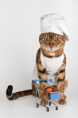 A cat chef with a cart of groceries