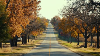 Obraz premium Road lined with autumn trees leads into distance under a clear sky