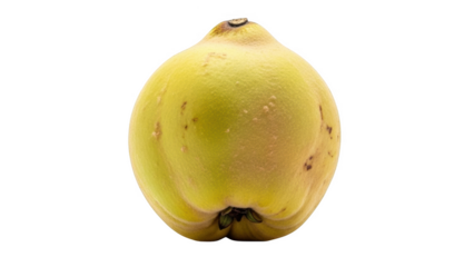 Single ripe yellow quince fruit with brown spots on black background whole