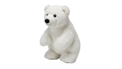 Cute white teddy bear sitting on transparent background looking friendly