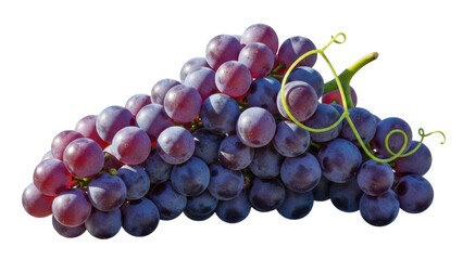 A cluster of purple and red grapes isolated on transparent background