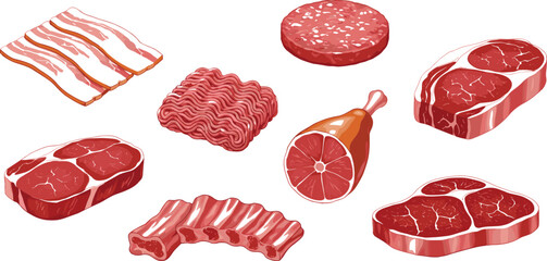 Raw meat vector illustration set with beef, pork, bacon, ribs, steak, and ground meat cuts for butcher shop, food packaging, and culinary design