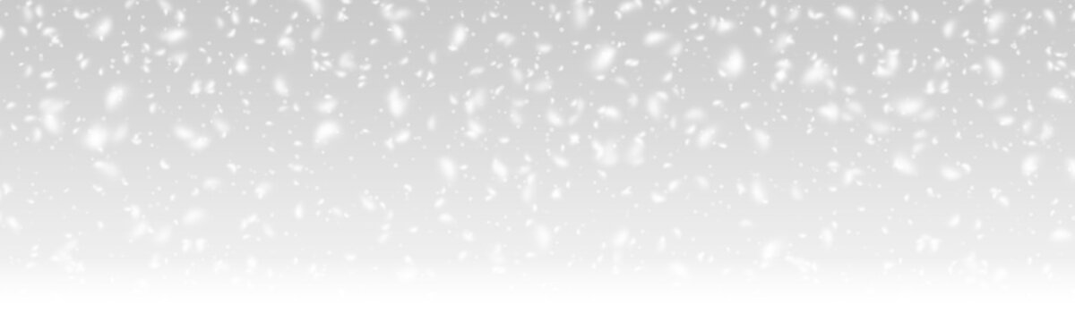 Snow falling soft magic particles overlay on Transparent png background