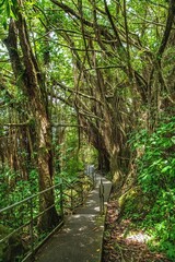 Hawaii Big Island und seine Naturwunder