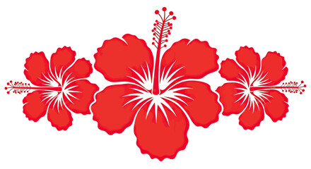 Vibrant Red Hibiscus Flowers Arrangement - Tropical Floral Design © gudangPIXEL