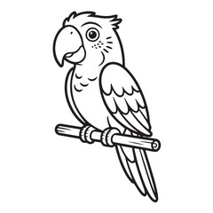 Fototapeta premium Cartoon parrot on perch black and white outline tropical bird illustration