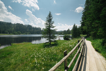 Summer landscape at Prebersee in Lungau region, Salzburg Land, Austria
